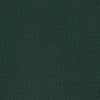 Hooded American Script Jacket | Conifer