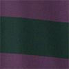 Women's Seffner Stripe Polo T-Shirt | Conifer