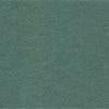 Women's Lecture T-Shirt | Silver Pine