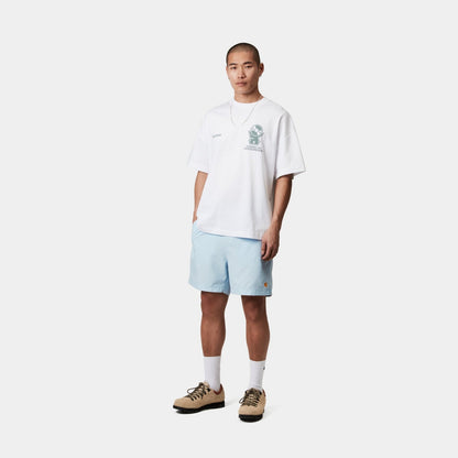 Chase Swim Trunks | Air Sky